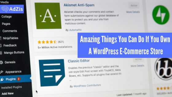 WordPress E Commerce Store - Amazing Things You Can Do If You Own A WordPress E-Commerce Store
